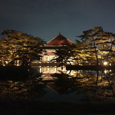 adpfkci's profile picture. 