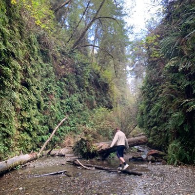 Peter__Matulich's profile picture. Ph.D. Student at OHSU in Burger Lab