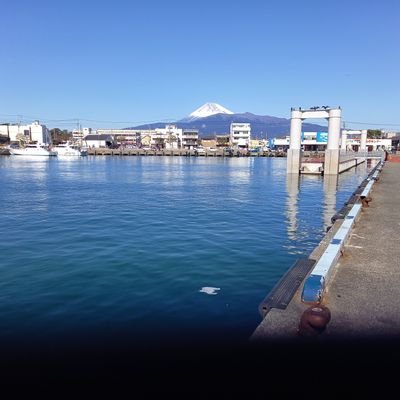 沼津志ひろさんのプロフィール画像
