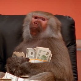 singhingbird's profile picture. 