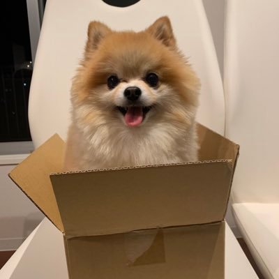 ATHLETA 東京ヴェルディ アカツキ シャツ 7 河野広貴 河野 広貴 (@hiroki337) / Posts / X