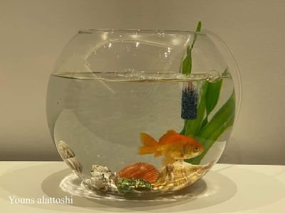 Baffour78590188's profile picture. 