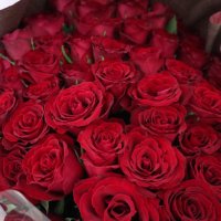 an. (@an_h_k) 's Twitter Profile