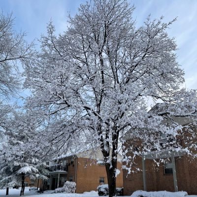 jamijani123's profile picture. Day trader😎