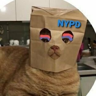 stefano_junn's profile picture. 감성계 ENFP #男