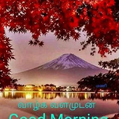 Profile Picture of Sivasamboo Pathmanathan (@SivasambooPath1) on Twitter
