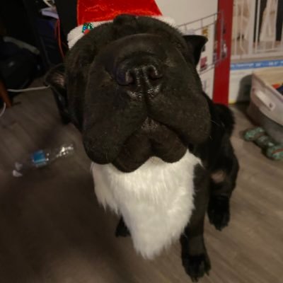 bigtimebakedr's profile picture. just a girl