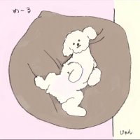 miya 4y (@tomtom_x1) 's Twitter Profile