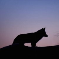 Thomas Funder (@funderthomas) 's Twitter Profile