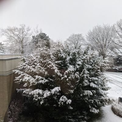 dcommone's profile picture. 