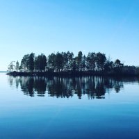 Echo of the Summer (@marybrask) 's Twitter Profile