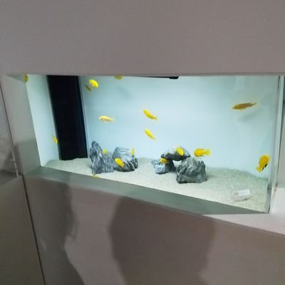 結仁 On Twitter 明日は仕事帰りに横浜でセフレのjd 3月の子 と会うのですが彼氏がいなくて やたらと連絡をして来ます 俺は彼氏じゃないよと遠回しに言っても効果がありません 潮時かな Twitter