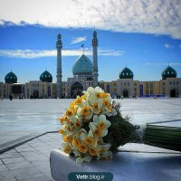 داودی🇮🇷 (@davoodyrazie) 's Twitter Profile