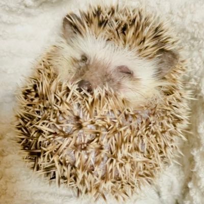 fthc128's profile picture. 