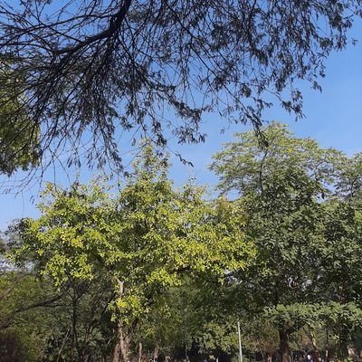 eish_sharma's profile picture. 