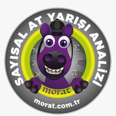 moratanaliz Profile Picture