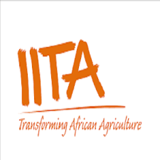 IITA Burundi