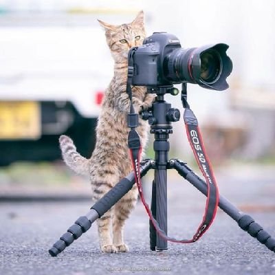 yati_indar's profile picture. Man jadda wa jadda