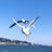 おりのTwitterプロフィール画像
