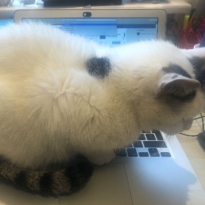 victorialhoward's profile picture. University of Nottingham and Browne Jacobson LLP Knowledge Transfer Partnership. PhD, Sociolinguistics in workplaces. Views my own.