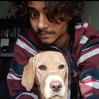 Soham Majumder (@bees_inmy_brain) 's Twitter Profile