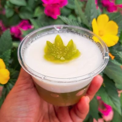 Beegie_meme's profile picture. 