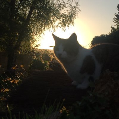 smkk79's profile picture. 