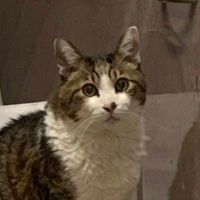 BP93rC83ycZ6RGh's profile picture. 