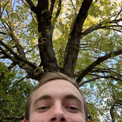 HatedoroH's profile picture. 