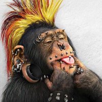 Paul Blaque (@paulblaque1) 's Twitter Profile Photo Paul Blaque (@paulblaque1) 's Twitter Profile Photo