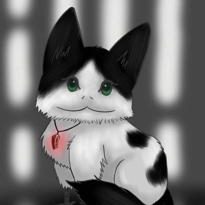 Kitさんのプロフィール画像