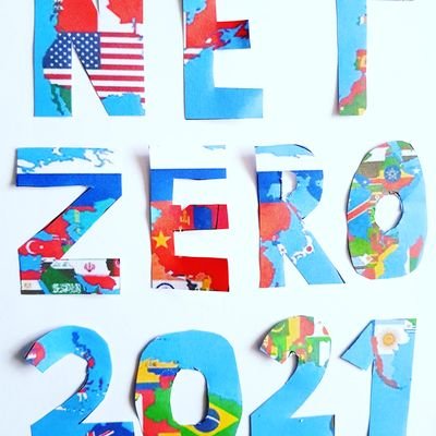 NetZeroCitizen1's profile picture. 