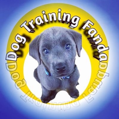 Dog Training Fanda Page is Related to Dog's behaviour.#dogtrainingfanda