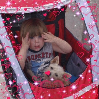 I am a mom, wife and Psychiatric Social Worker! I am a vegetarian and animal lover. My dream would be to travel the world with my family saving all the animals.
