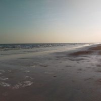 srinivas bollina (@bollinasrinivas) 's Twitter Profile