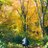 jun_t_tsuzuki