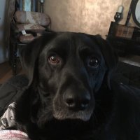 jackie g (@jackiegmsgoode) 's Twitter Profile