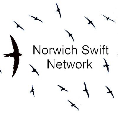 Helping you to help the Swifts of Norwich.
Tell us about your sightings. Want to put up a nest box? Please do!
#SaveOurSwifts #NRSwifts nswiftnetwork@gmail.com