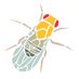 DevBioGenomics_UB (@devbiogenomics) Twitter profile photo DevBioGenomics_UB (@devbiogenomics) Twitter profile photo
