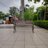 bee081016's profile image
