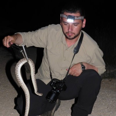 Senior Researcher III (PhD) in Biology @UAICIasi | @FulbrightPrgrm Alumn @CWRU | ADHD| #evolution #ecology #conservation #herpetology. All views are my own.