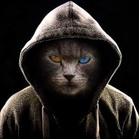 SALIM AL.BADI (@ryyuhhffh) Twitter profile photo