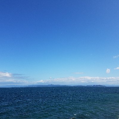 海紅茶@ダキニ・オラクルカード占い師さんのプロフィール画像