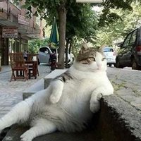 Tina Brand ❤️ Memecoin (@tinabra81927046) 's Twitter Profile