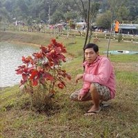 Norbert Leaf ❤️ Memecoin (@leafnorbert) 's Twitter Profile