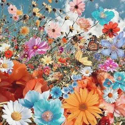 ayakijimin1013's profile picture. 