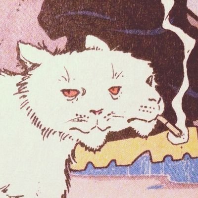 jynjpg's profile picture. 