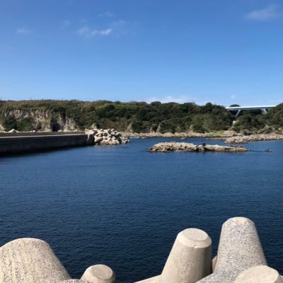 QzmnK7's profile picture. 政経 経済 #春から明治