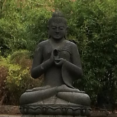 SandraG_DD's profile picture. 