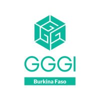 GGGIBurkinaFaso(@GggiBurkinafaso) 's Twitter Profile Photo